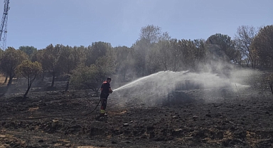 Susurluk Yolu Üzerinde Çıkan Arazi ve Orman Yangını Havadan ve Karadan Müdahaleyle Söndürüldü