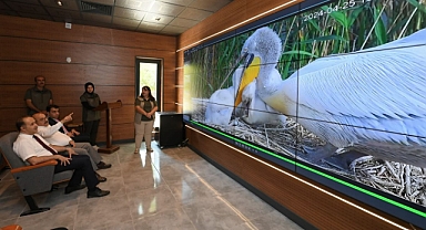 Vali Ustaoğlu, Manyas Kuş Cenneti Milli Parkı’nda İncelemelerde Bulundu