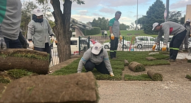 Altıeylül’de Yeşil Alanlarda Yoğun Mesai: Parklar Yenileniyor