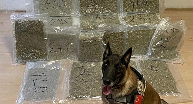 Balıkesir’de 12 Kilo 600 Gram Skunk Ele Geçirildi: Uyuşturucu Ticareti Yapan Şahıs Yakalandı