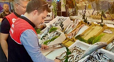 Balıkesir’de Balıkçılık ve Su Ürünleri Denetimleri Aralıksız Sürüyor