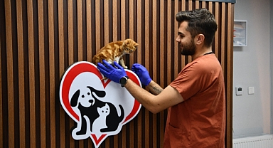 Balıkesir’de Can Dostlar Büyükşehir Eliyle Güvende