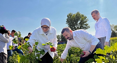 Balıkesir'de Çiftçiye 44 Milyon TL'lik Zirai Don Desteği