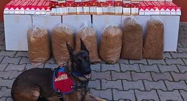 Balıkesir’de Kaçakçılığa Büyük Darbe!