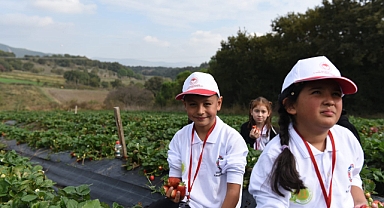Balıkesir’de “Lider Çocuk Tarım Kampı”: Minikler Tarımla Buluştu