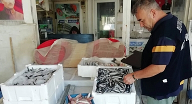 Burhaniye’de Balıkçılık ve Su Ürünleri Denetimleri Eş Zamanlı Olarak Gerçekleştirildi