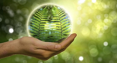 Geleceğin Yakıtı Yeşil Hidrojen: Türk Akademisyenlerden Küresel Katkı