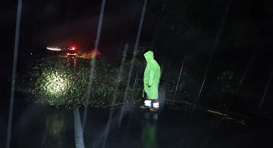 Havran’da Yola Devrilen Ağaç İtfaiye Ekiplerince Kaldırıldı