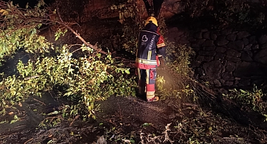 Havran’da Yola Düşen Ağaç İtfaiye Ekiplerince Kaldırıldı