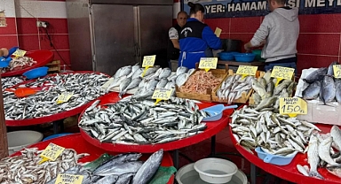 Kaçak Avcılığa Geçit Yok: Havran’da Sıkı Kontrol