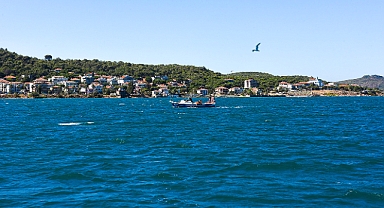 Kurumsal Yönetim ve Turizm Büyümesi: Türkiye’de Şirket Performansı Mercek Altında