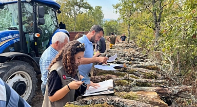 Orman Köylüsüne Destek: Balıkesir’de Yakacak Odun Dağıtımı Başladı