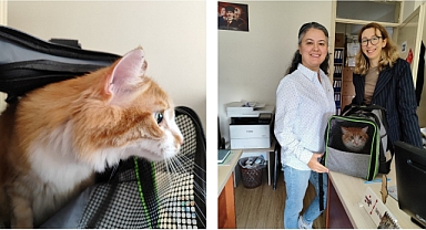 Servet’in Dubai Yolculuğu Onaylandı!