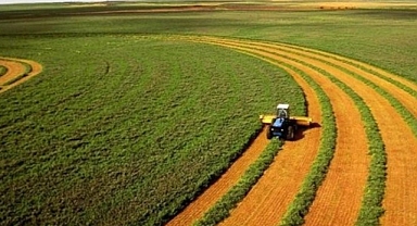 Türkiye Genelinde 349 Milyon TL Tarımsal Destek Ödemesi Başladı