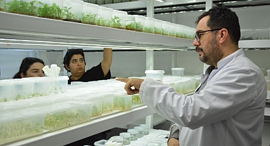 BAÇEM’de V. Bitki Doku Kültürü Kursu Tamamlandı