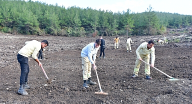 Balıkesir’de 11 Kasım Milli Ağaçlandırma Günü Hazırlıkları Tüm Hızıyla Sürüyor