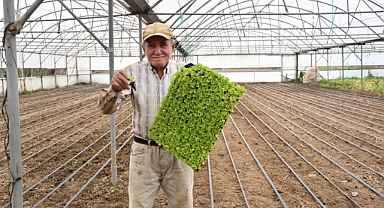 Büyükşehir Desteğiyle Topraklar Bereketlendi