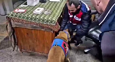 Dursunbey’de Çeteye Darbe: Eş Zamanlı Operasyonla 9 Şüpheli Yakalandı