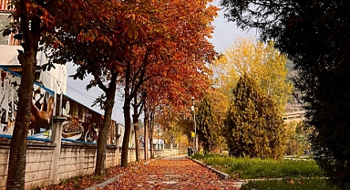 Dursunbey’de Sonbahar Büyüsü Kadraja Yansıdı