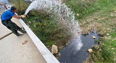 Edremit’te Su Kaplumbağaları İçin Örnek Çalışma