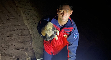 Gömeç’te Temele Düşen Yavru Köpek İtfaiye Ekiplerince Kurtarıldı