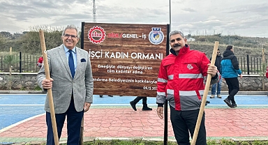 Bandırma’da “İşçi Kadın Ormanı” Hayata Geçti: 250 Fidan Toprakla Buluştu