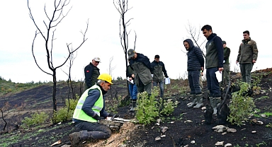 Uzman Heyet Kirazköy’de Yangın İzlerini Yerinde Değerlendirdi
