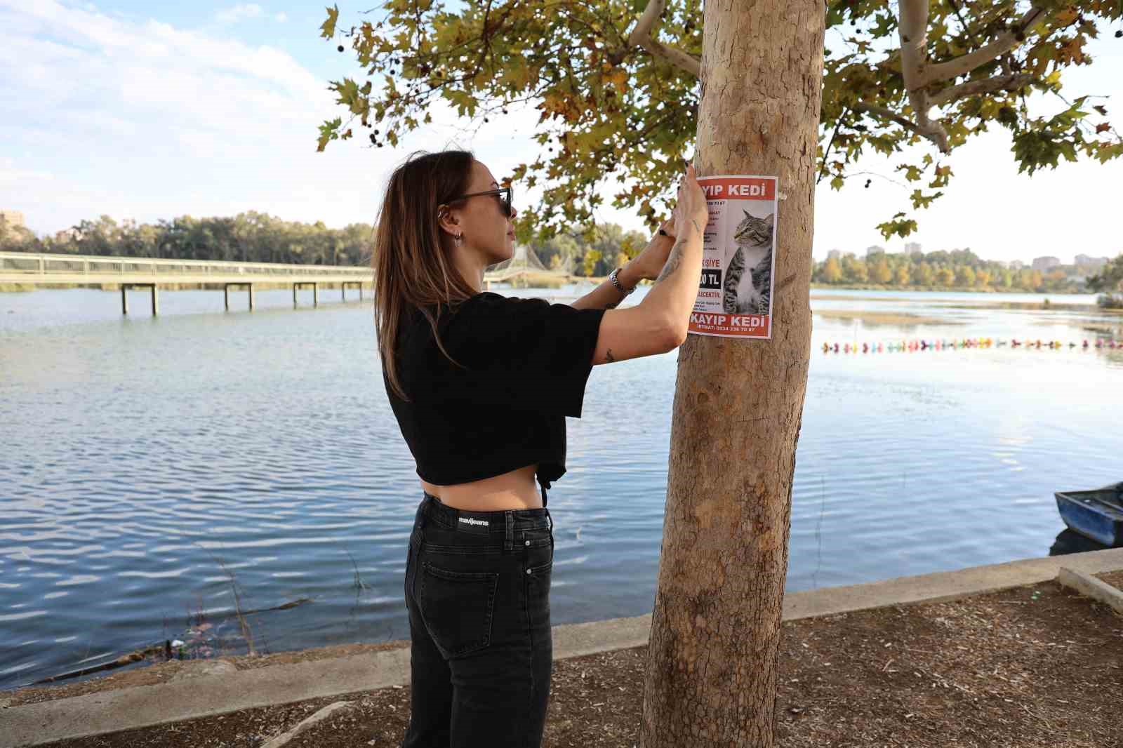 Adana'da Kaybolan Kedi İçin 100 Bin Lira Ödül!