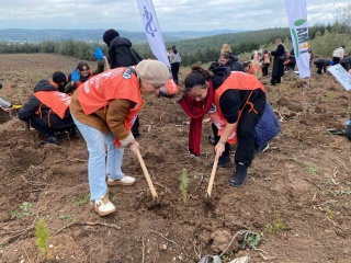 Bursa'da 10 Bin Fidan Toprakla Buluştu