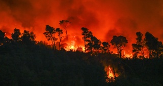 Acil Durum: Fransa'da Aude Bölgesinde Tarihi Orman Yangını