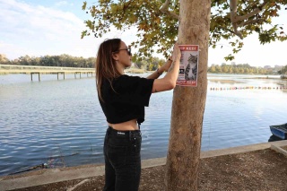 Adana'da Kaybolan Kedi İçin 100 Bin Lira Ödül!