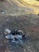 Adıyaman'da Duyarsızlık: Piknik Ateşi ve Büyük Tehlike