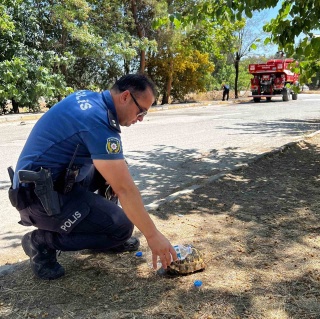 Adıyaman'daki Yangında Kahraman Polis ve Kaplumbağa Kurtarma Operasyonu