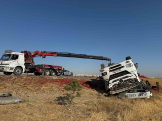 Afyonkarahisar'da Dev Renkli Kaza