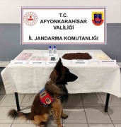 Afyonkarahisar'da Uyuşturucu Operasyonu: 2 Tutuklama