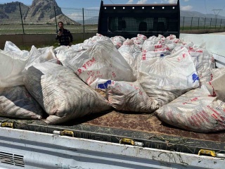 Ağrı’da Kaçak Av Operasyonu: 2 Ton İnci Kefali Ele Geçirildi