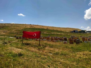 Ağrı'da Türk Bayraklarıyla Donatılan Sokaklar