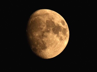 Ahlat'ta Göz Kamaştıran \