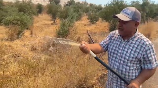 Aksu'daki Orman Yangını ve Halkın Mücadele Anları