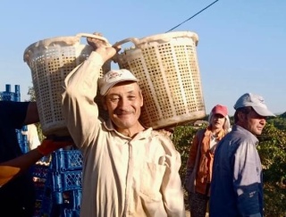 Ali Gubur'un Azmi: Çalışkanlığıyla Gençlere Taş Çıkartan Adam