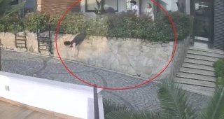 Altınordu'da Komşular Arasında Gerilim