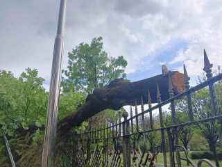 Ankara'da Fırtına ve Sağanağın Etkileri