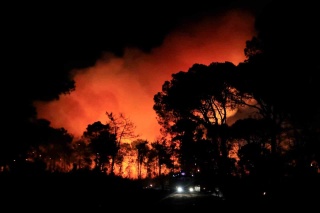 Antalya'daki Orman Yangını Kontrol Altında