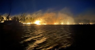 Arizona'da Devam Eden Greer Yangını Hakkında