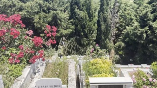 Arnavutköy'deki Mezarlıkta Bebek Cesedi Bulundu