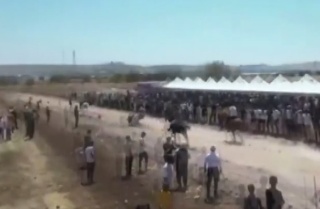 At Yarışı Festivalinde Yaşanan Talihsizlik