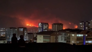 Ateşin Gözyaşı: Bursa Orman Yangını