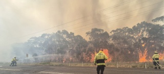 Avustralya ve Yeni Zelanda'da Orman Yangınlarının Tehlikeli İlerlemesi