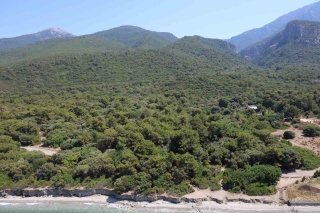 Aydın'da Ormanlık Alanlara Giriş Çıkışlar Yasaklandı