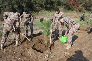 Aydın'da Şehit Polisler Anısına Fidan Dikimi